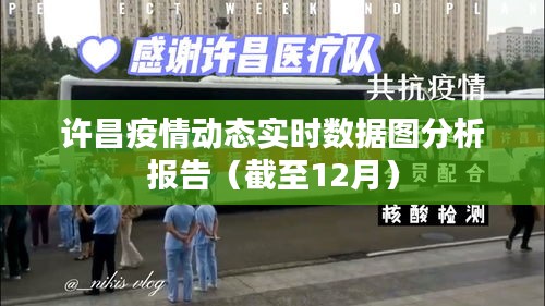 许昌疫情实时数据图分析报告（截至12月最新动态）