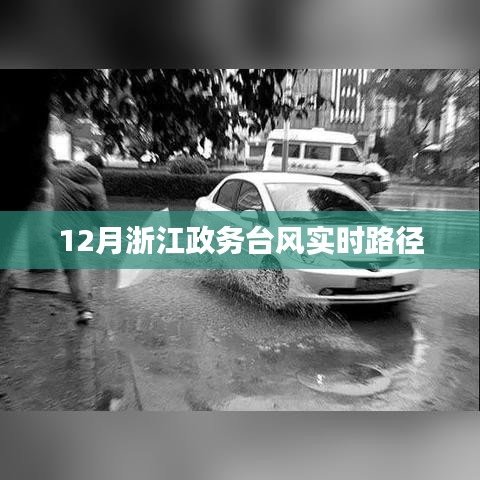 浙江政务台风实时路径播报