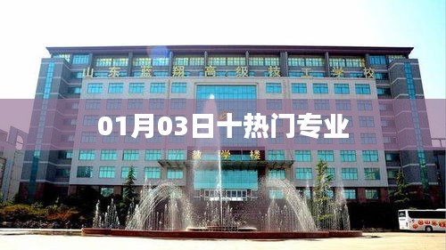 最新热门专业榜单TOP10，01月03日更新