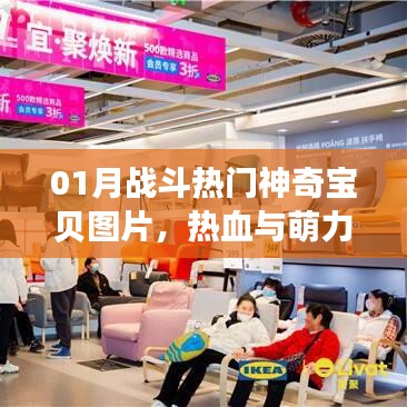 01月战斗热门神奇宝贝图片，热血萌力集结