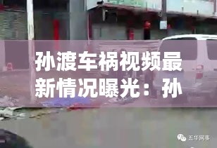孙渡车祸视频最新情况曝光：孙渡镇在哪 