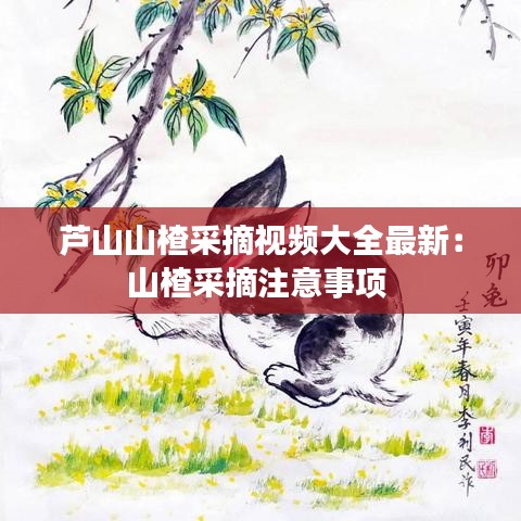 芦山山楂采摘视频大全最新：山楂采摘注意事项 