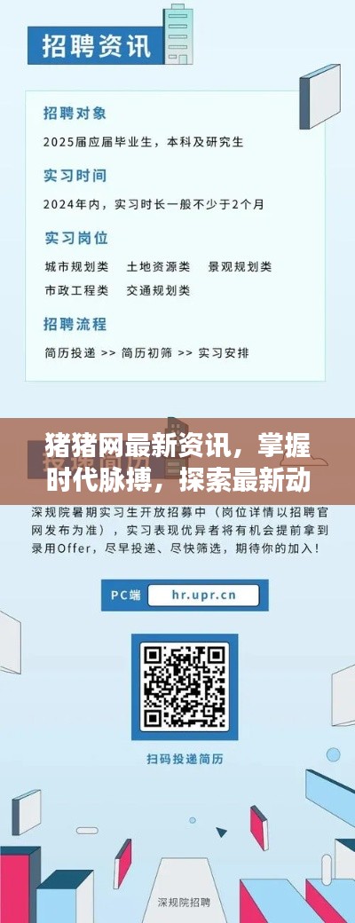 猪猪网最新资讯，掌握时代脉搏，探索最新动态