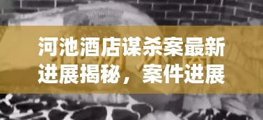 河池酒店谋杀案最新进展揭秘，案件进展令人震惊，真相逐渐浮出水面