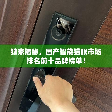独家揭秘，国产智能猫眼市场排名前十品牌榜单！