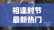 相逢时节最新热门电视剧免费观看，不容错过！