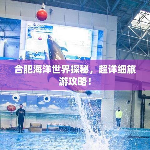 合肥海洋世界探秘，超详细旅游攻略！