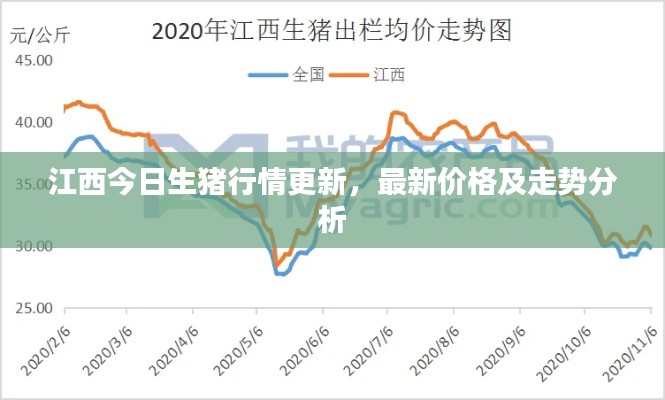 江西今日生猪行情更新，最新价格及走势分析