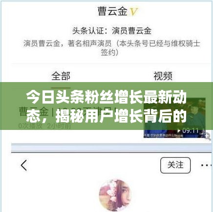 今日头条粉丝增长最新动态，揭秘用户增长背后的秘密！