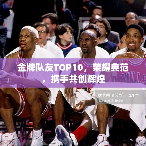 金牌队友TOP10，荣耀典范，携手共创辉煌