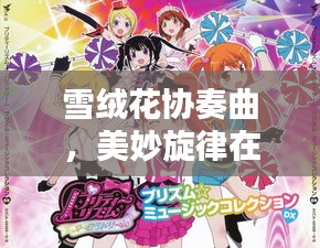雪绒花协奏曲，美妙旋律在百度回响