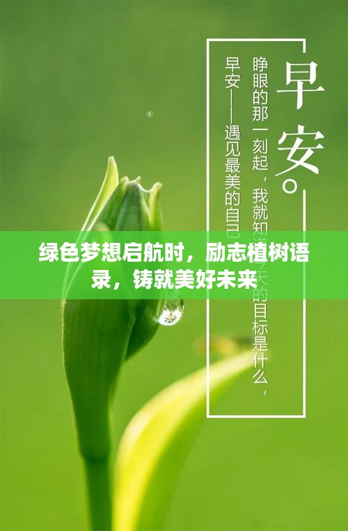 了解鹿瓷 第79页