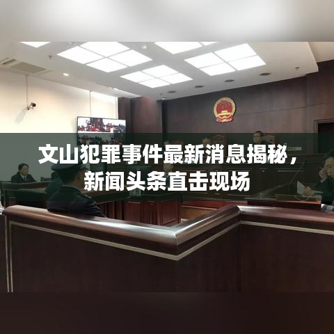 文山犯罪事件最新消息揭秘，新闻头条直击现场