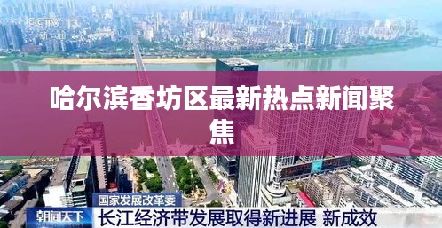 哈尔滨香坊区最新热点新闻聚焦