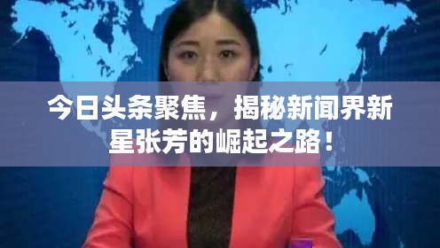 今日头条聚焦，揭秘新闻界新星张芳的崛起之路！