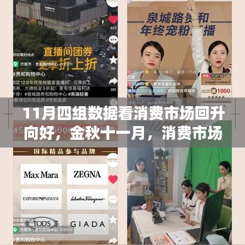 金秋十一月消费市场回暖趋势解析，四大数据揭示市场回升向好态势