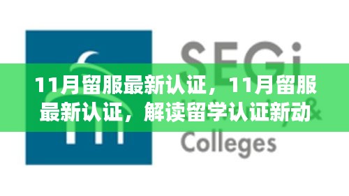 解读最新留服认证动态，助力留学生职业发展，十一月留学认证更新概览