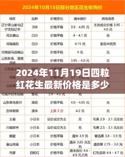 了解鹿瓷 第574页