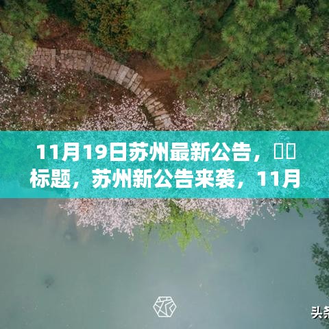 苏州11月19日最新公告，自然秘境探索之旅，心灵宁静之旅启程