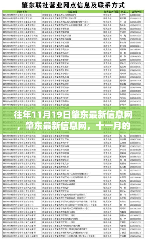 肇东最新信息动态，十一月回响与时代印记