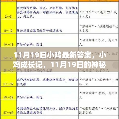 联系我们 第720页