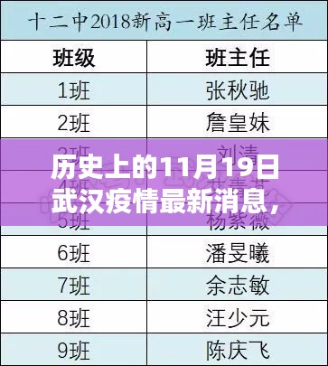 武汉疫情回顾，历史上的11月19日最新消息解析