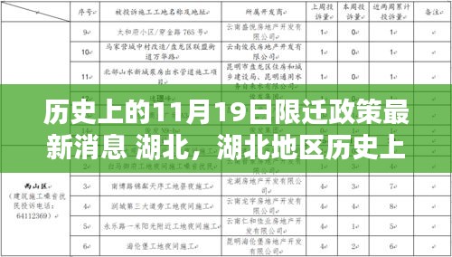 湖北地区历史上的限迁政策动态，最新消息与深度评测揭秘