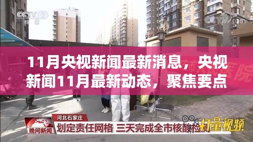 央视新闻聚焦，11月最新动态与热点趋势分析