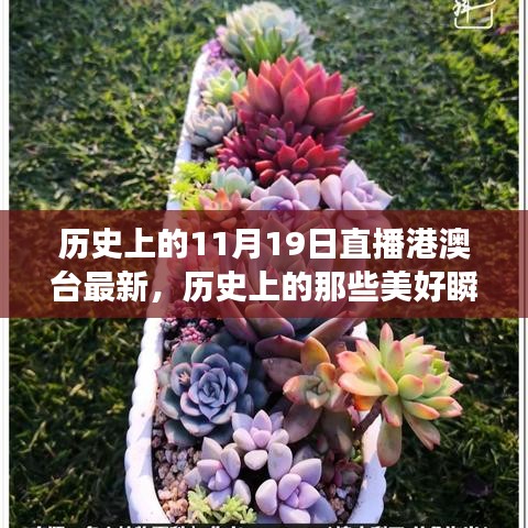历史上的美好瞬间，探寻自然美景与心灵的宁静港湾（直播港澳台最新）