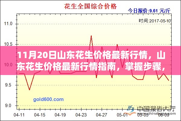 山东花生最新行情解析，掌握价格走势，洞悉市场动态（11月20日）