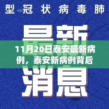 产品展示 第559页