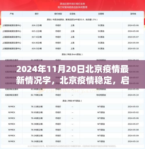 了解鹿瓷 第565页