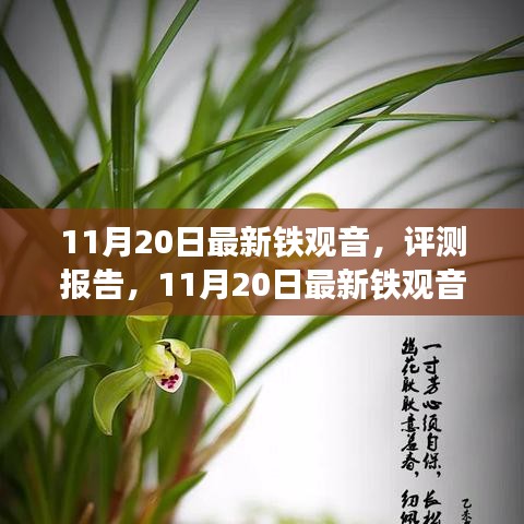 鸟面鹄形 第5页