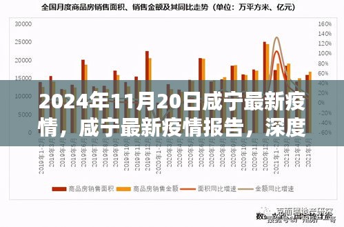 2024年11月20日咸宁疫情报告，深度解析与竞品对比，疫情态势及应对策略