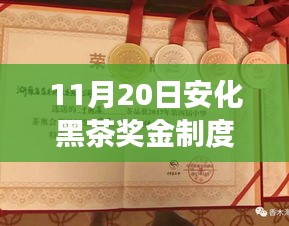 安化黑茶奖金制度最新解析及全面产品特性与使用体验探讨