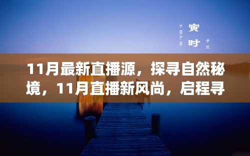 探寻自然秘境，11月直播新风尚，启程内心平和之旅