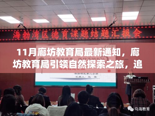口若悬河 第6页