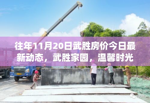 往年11月20日武胜房价今日最新动态，武胜家园，温馨时光与房价的微妙交响曲