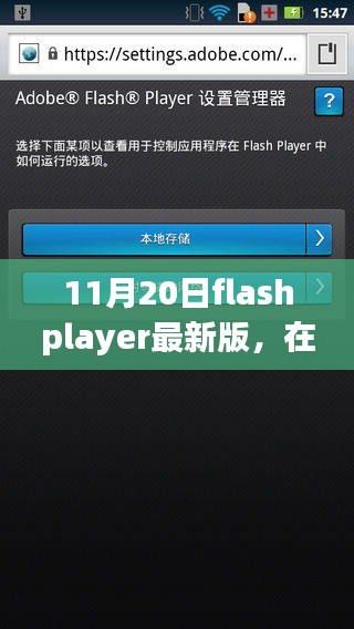 11月20日flashplayer最新版，在最新Flash Player中的温馨日常，一次奇妙的友情之旅