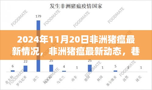 非洲猪瘟最新动态及巷弄深处的特色小店探索之旅（2024年11月20日）