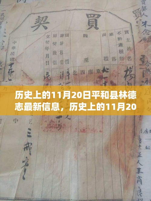 历史上的11月20日，平和县林德志最新信息概览
