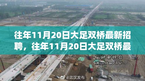 往年11月20日大足双桥最新招聘市场深度解析与测评报告