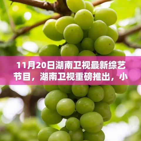 湖南卫视巷弄美食探秘夜，小巷深处的综艺宝藏新节目上线
