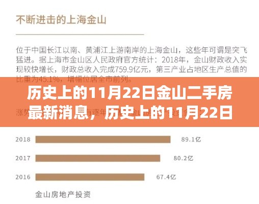 历史上的11月22日金山二手房市场最新动态及解析