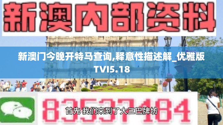 新澳门今晚开特马查询,释意性描述解_优雅版TVI5.18