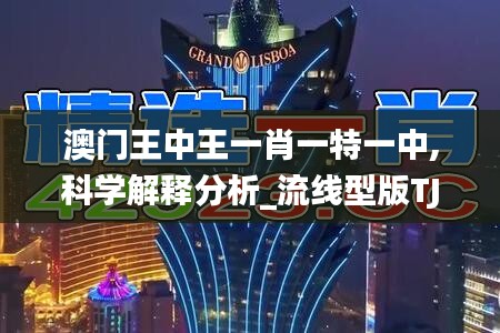 澳门王中王一肖一特一中,科学解释分析_流线型版TJE5.84