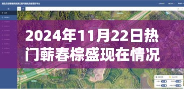 了解鹿瓷 第545页