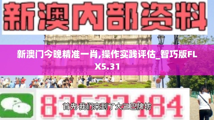 新澳门今晚精准一肖,操作实践评估_智巧版FLX5.31
