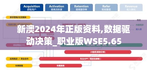 新澳2024年正版资料,数据驱动决策_职业版WSE5.65