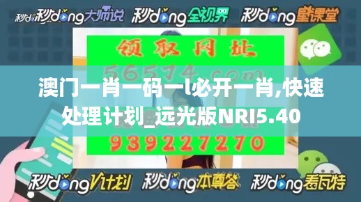 澳门一肖一码一l必开一肖,快速处理计划_远光版NRI5.40